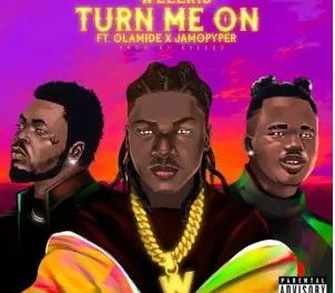 Download Wellkid Turn Me On ft Olamide & Jamopyper MP3 Download