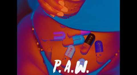 Download OBN Jay PAW MP3 Download