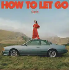 Download Sigrid A Driver Saved My Night MP3 Download