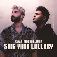 Download R3HAB & Mike Williams Sing Your Lullaby MP3 Download