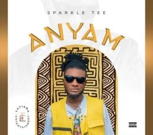 Download Sparkle Tee Anyam MP3 Download