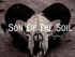 Download Yonda Son Of The Soil MP3 Download