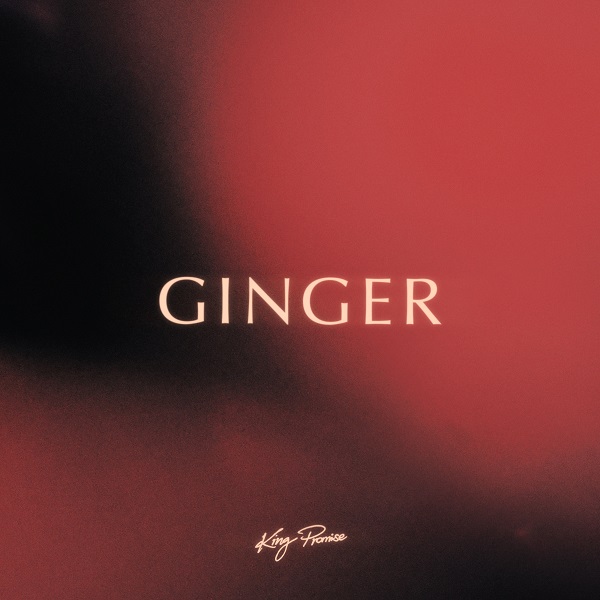 Download King Promise – Ginger Mp3 Download