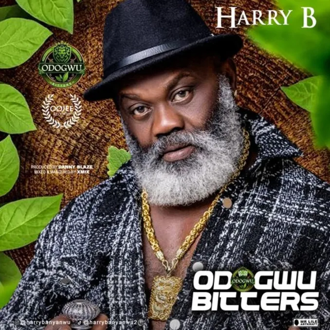 Download Harry B – Odogwu Bitters Mp3 Download