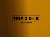 Download Papisnoop – Trip 2 DXB Mp3 Download