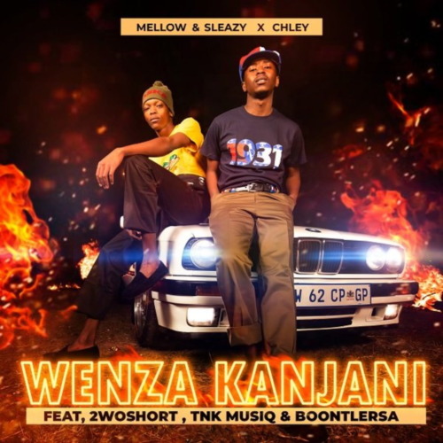 Download Mellow & Sleazy – Wenza Kanjani ft. Chley, 2woshort, TNK MusiQ & Boontle RSA Mp3 Download