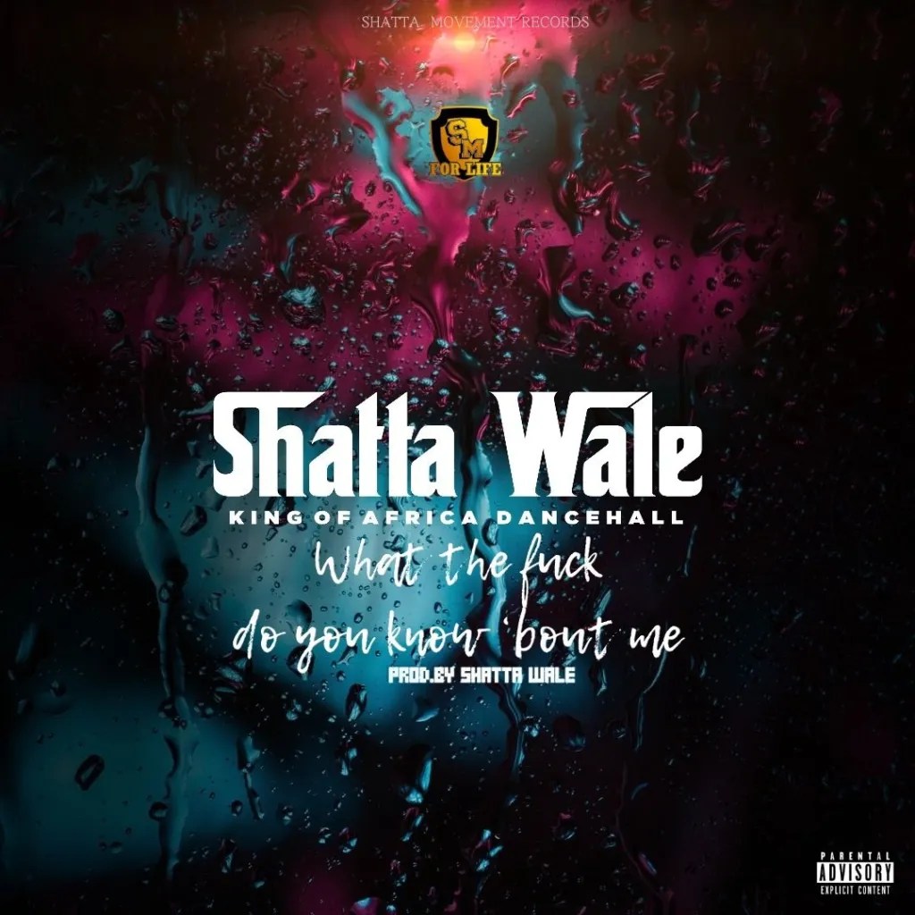 Download Shatta Wale – What Do You Know About Me Mp3 Download