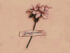 Download Phora Dangerous MP3 Download