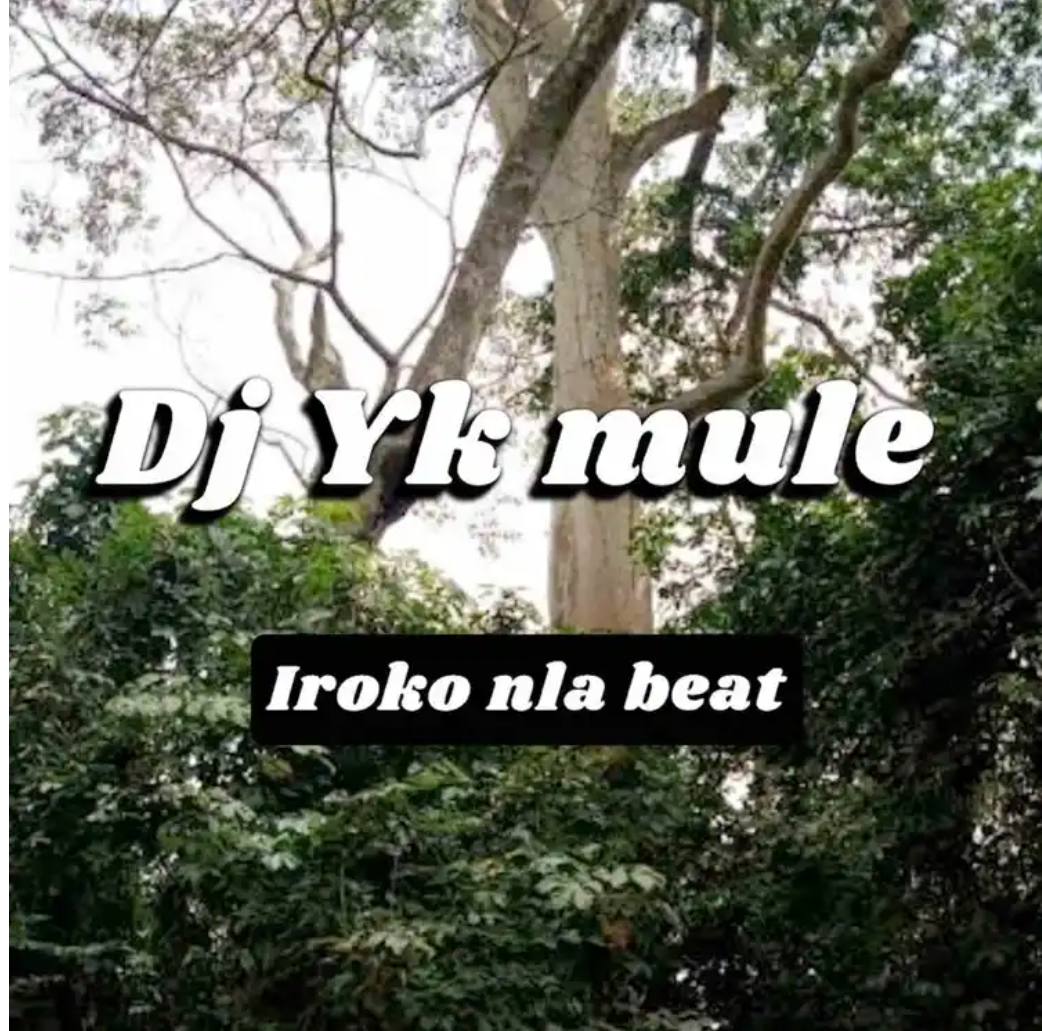 Download Dj Yk Beats Mule – Iroko Nla Beat Mp3 Download