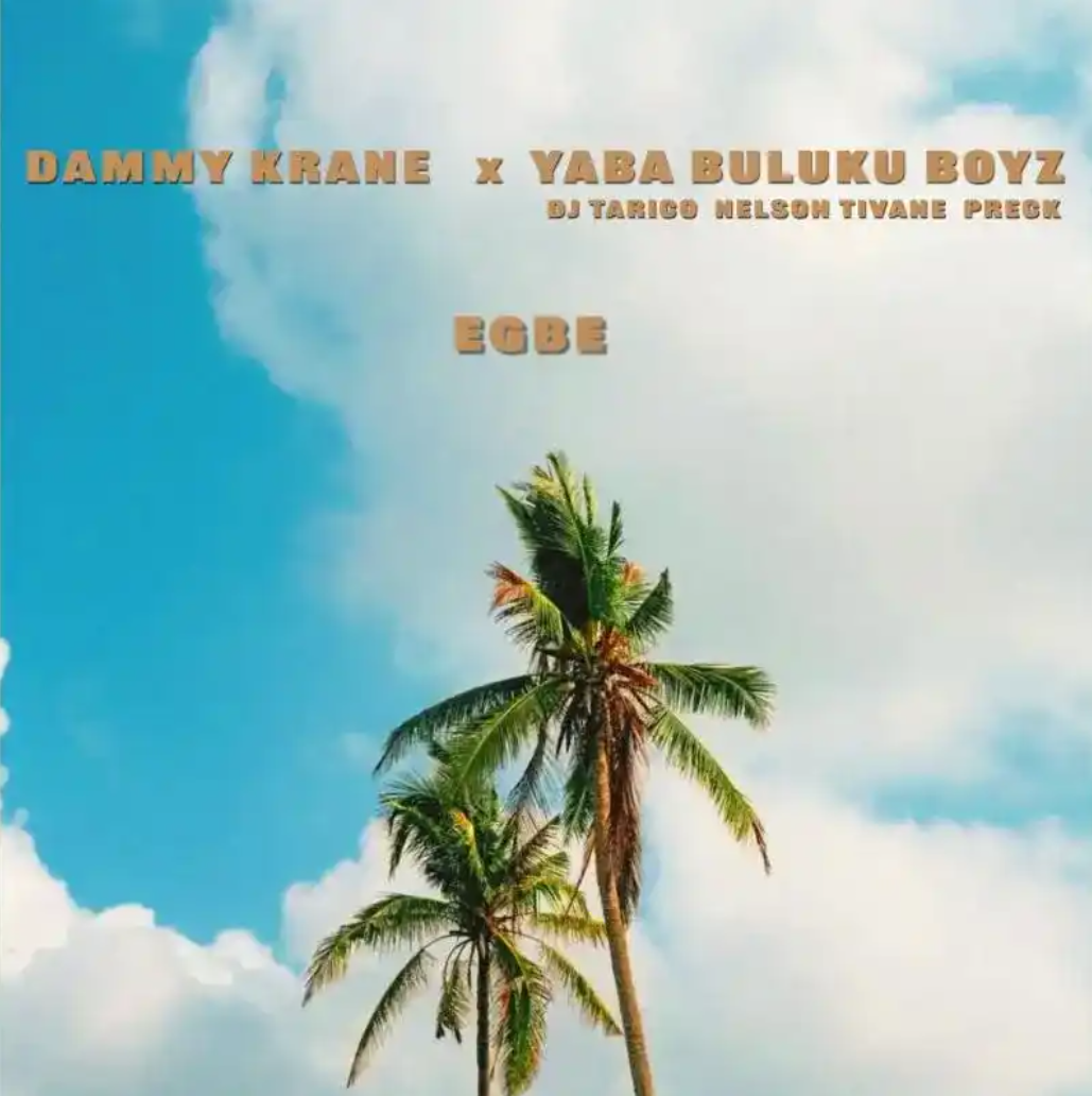 Download Dammy Krane – Egbe Ft. Yaba Buluku Boyz, DJ Tarico, Preck & Nelson Tivane Mp3 Download
