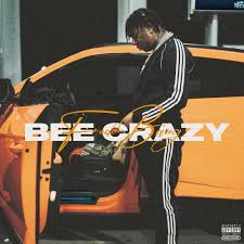Download Fredo Bang Bee Crazy MP3 Download