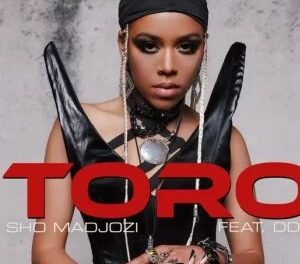 Download Sho Madjozi Toro ft DDG MP3 Download