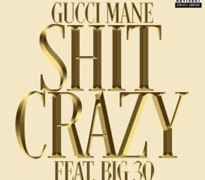 Download Gucci Mane Shit Crazy Remix ft BIG30 Mac Critter & Sett MP3 Download