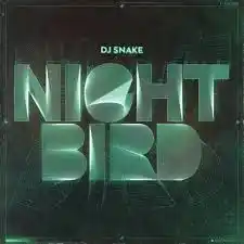 Download DJ Snake Nightbird MP3 Download