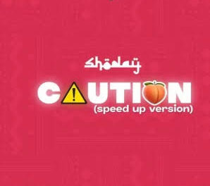 Download Shoday Caution Speed Up Version MP3 Download