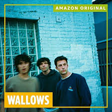 Download Wallows WISH ME LUCK MP3 Download