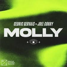 Download Cedric Gervais MOLLY Ft Joel Corry MP3 Download